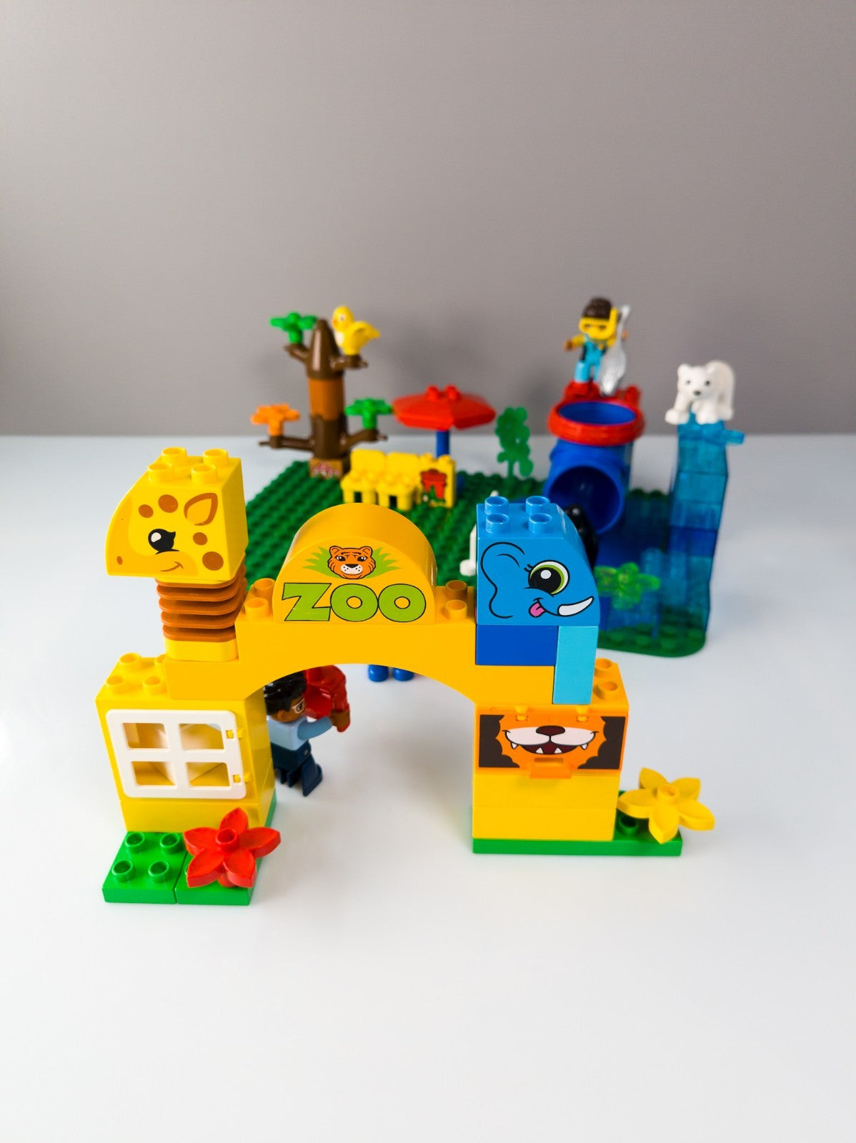 Image #3