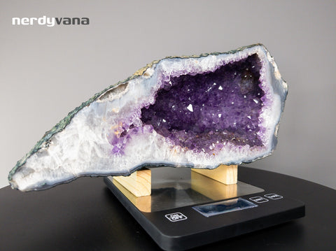 Image #6