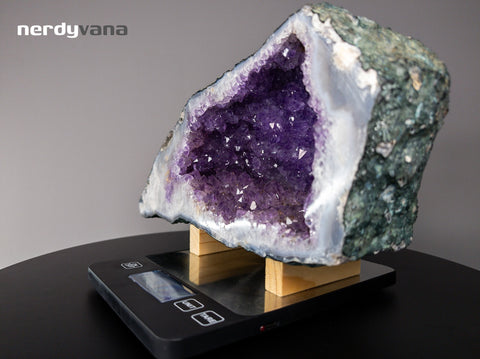 Image #5