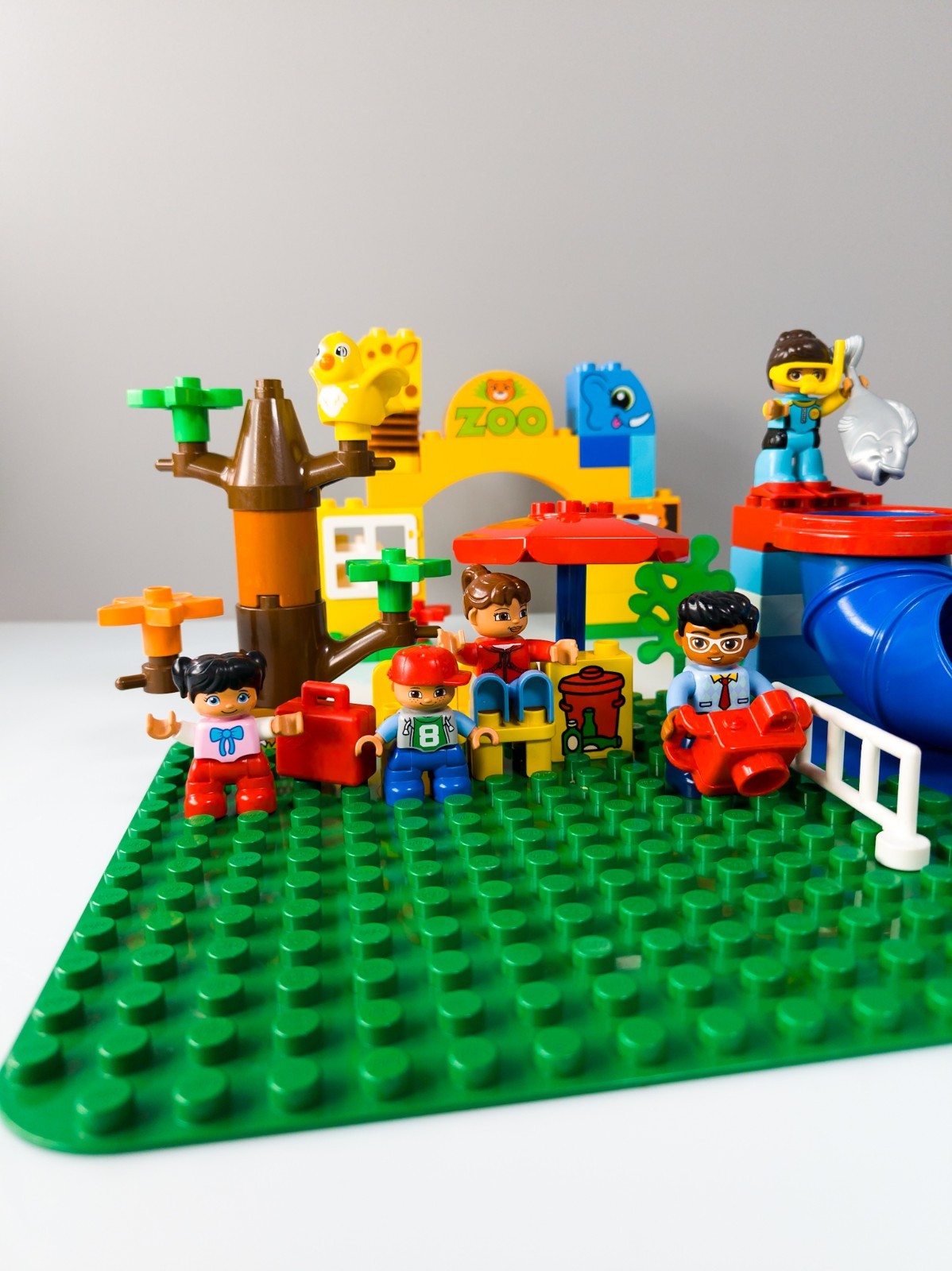 Image #6