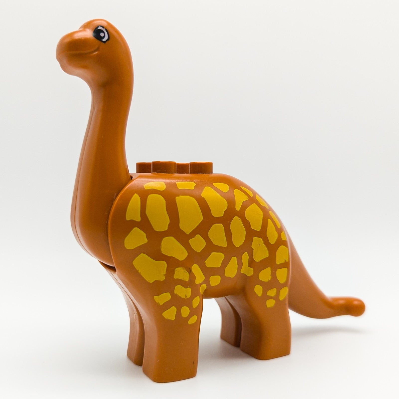 Image #1 Hauptbild