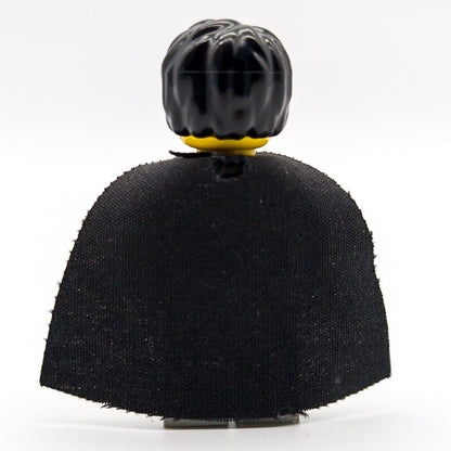 LEGO Harry Potter Minifigur Harry Potter hp005 aus 4702 - nerdyvana.com